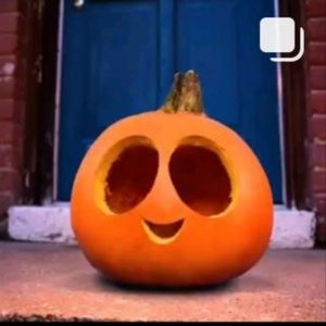 Meet your Posher, Kami